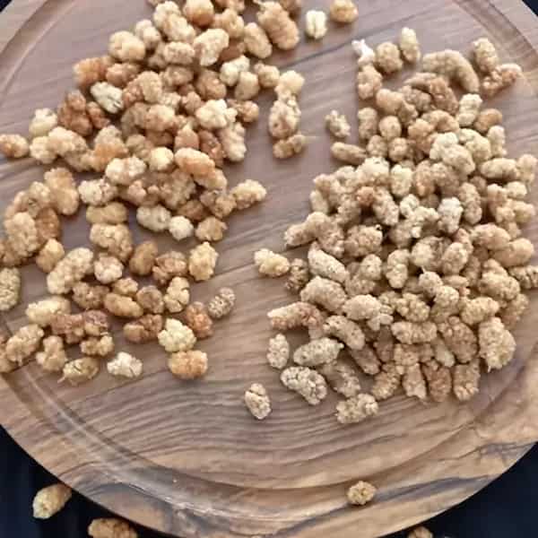 تصویر 1 از فروش توت خشک تازه + قیمت خرید به صرفه